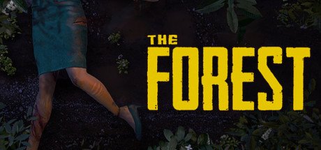The Forest — Steam PC game cover art